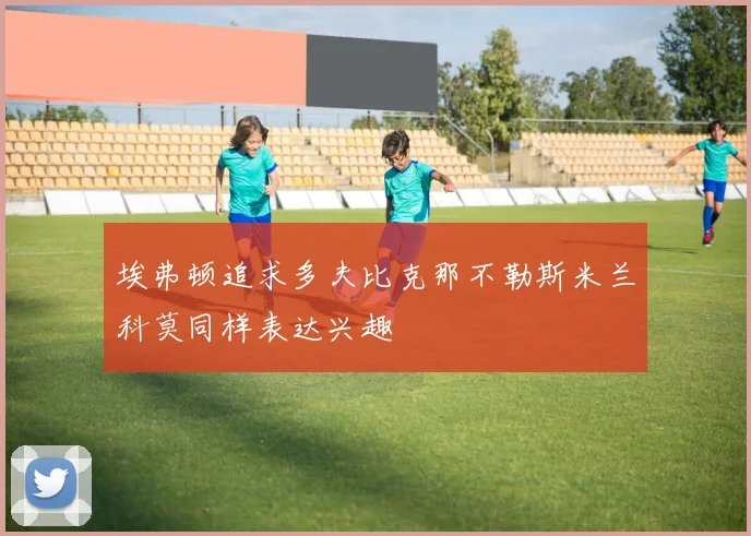 埃弗顿追求多夫比克那不勒斯米兰科莫同样表达兴趣