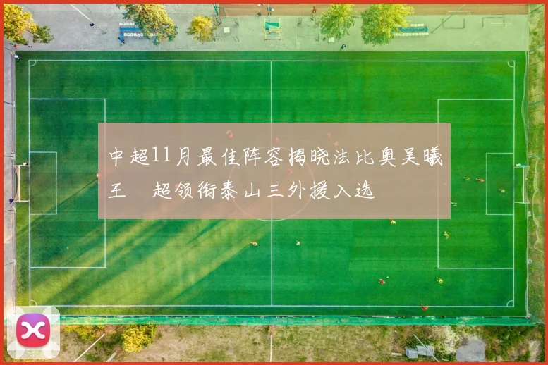 中超11月最佳阵容揭晓法比奥吴曦王燊超领衔泰山三外援入选