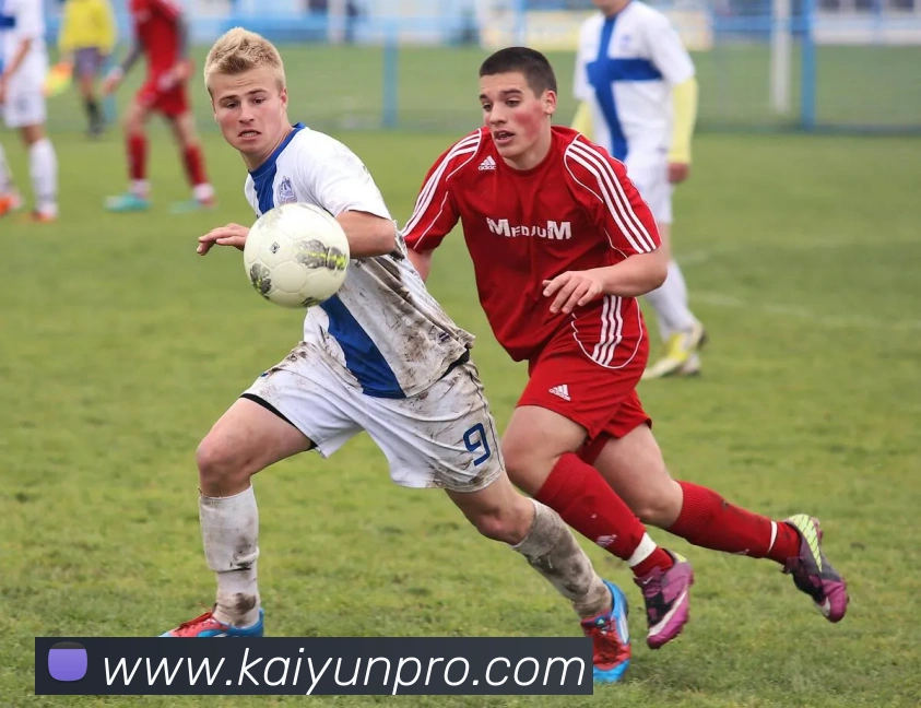 开云体育APP 高清赛事图